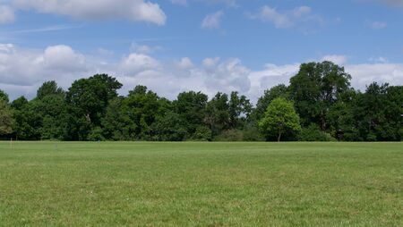 Summer scene showing English parkland with trees in background and blue skyの写真素材