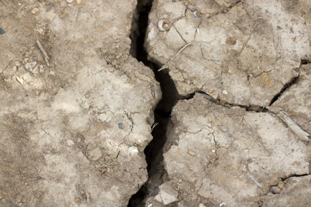 Cracked rough dried earth background in drought with copy space