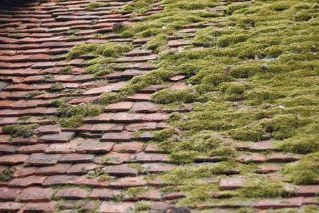 Dried moss on old rustic tiled roof with uneven tilesの写真素材