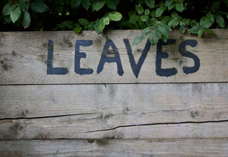 The word leaves in large black hand painted lettering in compost binの写真素材