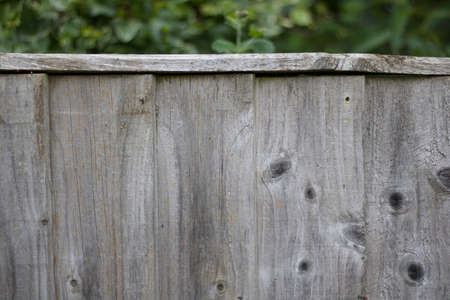 Old weathered wooden fence background with foliage at top of imageの写真素材