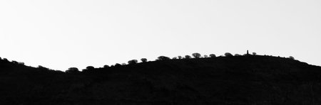 Undulating hill top with trees silhouetted against white sky with space for copy