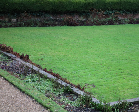 Beautiful grass lawn surrounded by flower beds in winter with copy spaceの写真素材
