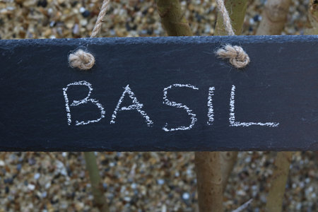 The word basil on a piece of slate suspended on stringの写真素材