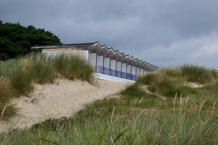 10 September 2021 - Dorset, UK: Sand dune with beach huts in backgroundのeditorial素材