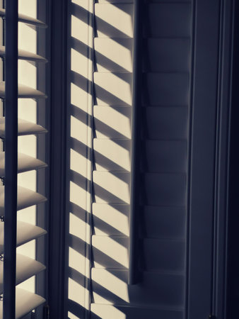 Vertical black and white image of light shining through plantation shutters