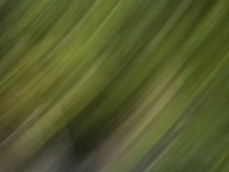 Blurred green background with directional diagonal lines and space for copyの写真素材