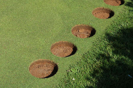 Plugs of turf removed from putting green with space for copyの写真素材