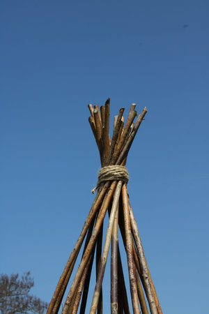 Vertical image of twig or branch plant support pyramid cane