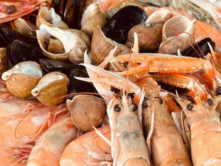 Fresh prawns, langoustines, whelks and musselsの写真素材