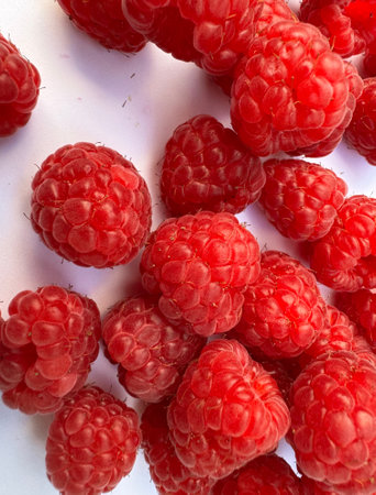 Red raspberries on white background with space for copyの写真素材