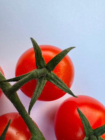Cherry tomatoes on stalk against plain white background