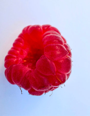 Close up of raspberry on white background with copy space