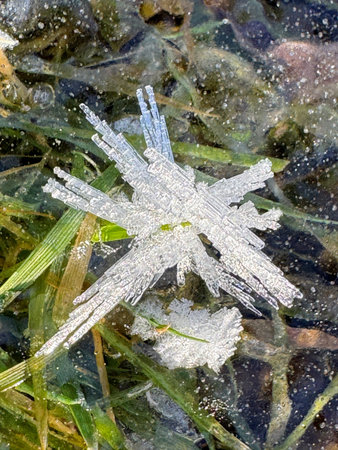 Close up of ice crystals formed on blades of grass