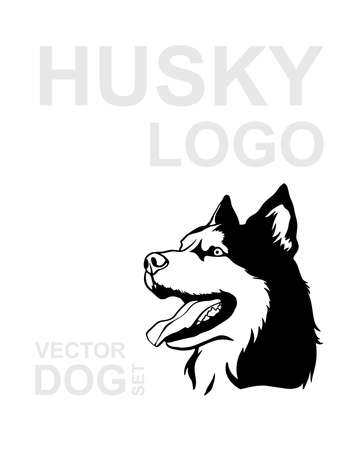 Vector of a dog siberian husky on white background. Pet. Husky logo. Vector dog set.のイラスト素材
