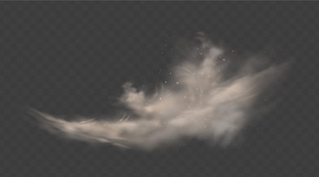 Dusty cloud. Smoke with sand, stones and flying dirty, soil dust particles isolated on transparent background. Air pollution concept. Realistic vector illustrationのイラスト素材
