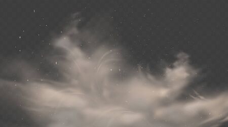 Road dust cloud. Smoke with stones and flying dirty, soil particles isolated on transparent background. Dust sand cloud. Air pollution concept. Realistic vector illustration..のイラスト素材