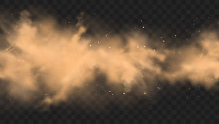 Dust sand cloud with stones and flying dusty particles isolated on transparent background. Desert sandstorm. Realistic vector illustration.のイラスト素材