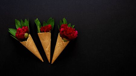 Red peonies flowers with green leaves in waffle cones. Top view, copy space.の写真素材