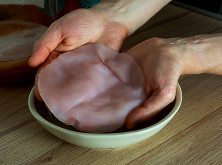 Preparing tea mushroom drink. Hands holding scoby. Kombucha for good balance digestive system.