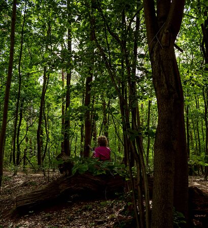 Elderly woman sitting and resting after nordic walking in the forest. Active and healthy lifestyle.の写真素材