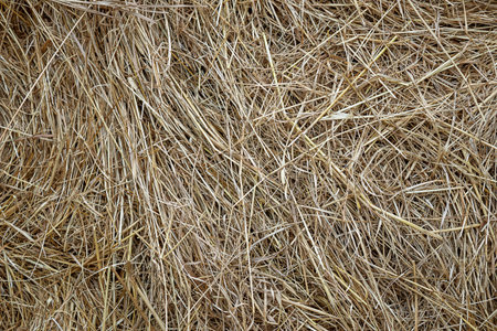 Background of dry haystack in the field. Close up.