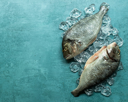 Organic raw Gilt-Head Bream fish or royal dorade on ice cubes. Copy space for text.