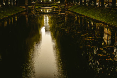Autumn city canal with fallen leaves and reflections, toned photoの写真素材