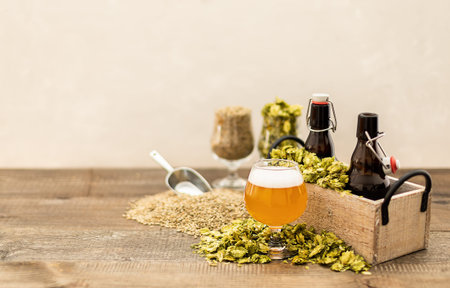 Craft pale ale in a glass with beer growlers and green dry hops. Home brewing. Copy space.