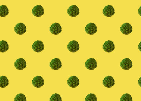 Seamless pattern of Romanesco broccoli, edible flower cabbage. green vegetables on the yellow backgroundの写真素材