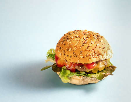 Fresh beef burger with vegetables, cheese, and sauces on a light blue paper background. whole wheat bread, copy spaceの写真素材