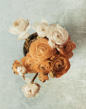 Ranunculus or persian buttercup bouquet of flowers, spring, colorful, bright, in a vase, toned...