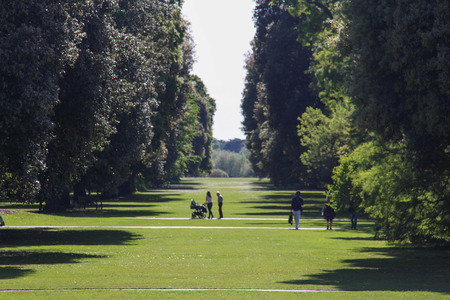 Lost in the forestのeditorial素材