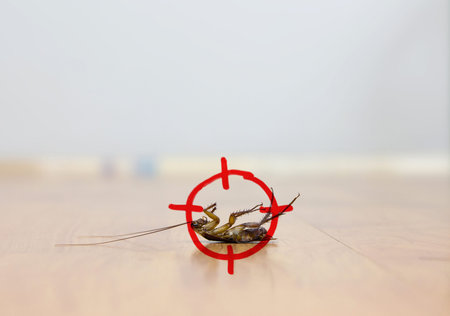 drawing of gun target to kill cockroach , pest control concept