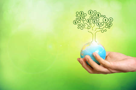 money tree on earth in hand , business success conceptの写真素材