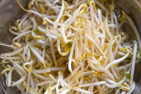 Fresh bean sprouts in a bowl