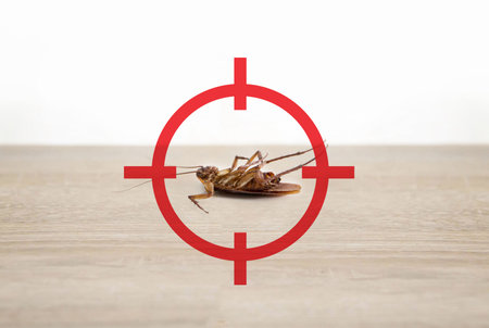 gun target to kill cockroach, pest control concept