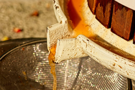 Pressing of fresh apple juice. Juice flowing from presser.