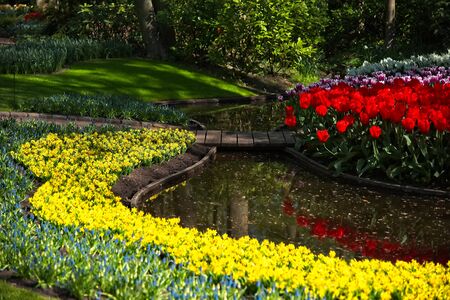 Bright tulips and other flowers in flower park with water canal and small bridge.の写真素材
