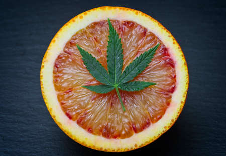 Iconic cannabis leave on sliced red orange. Limonene terpene concept on gray background.の写真素材
