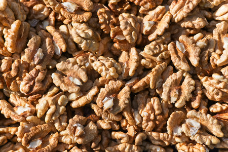 Full frame filled with freshly shelled home grown walnut halves.の写真素材
