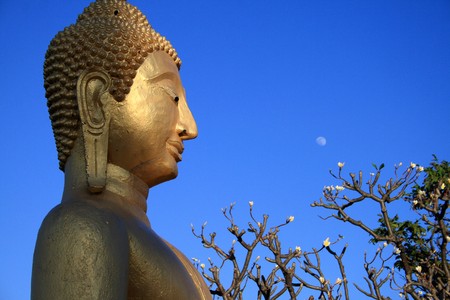 image of Buddhaの写真素材