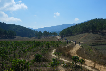 Hiking on the hill on a sunny day. High-quality image of a group of people walking in the parkの写真素材