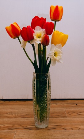 Red, orange, yellow and white flowers on the floorの写真素材