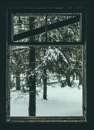 view on forest from old abandoned house windowの写真素材