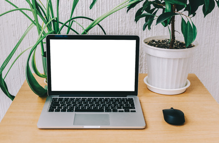 laptop mock-up on white wall background with flower in officeの写真素材