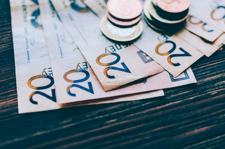 Belarus money on the wooden rustic table