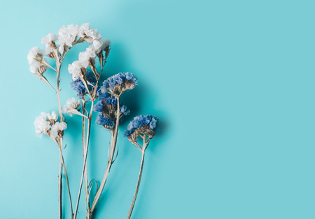 Dry purple and white flowers on the blue backgroundの写真素材