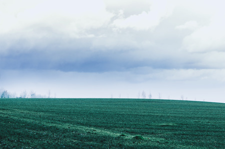 Autumn green field. Landscape with cloudscape and green grassの写真素材