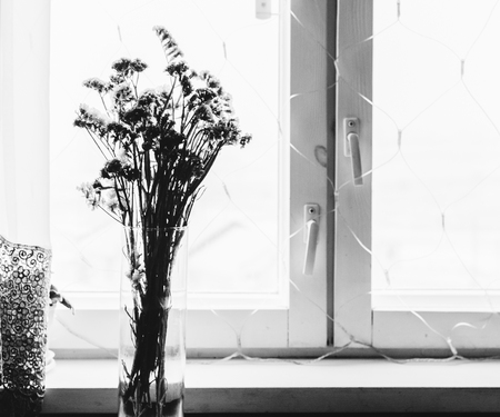 Flowers in vase on home window in morning time. Black and white photoの写真素材